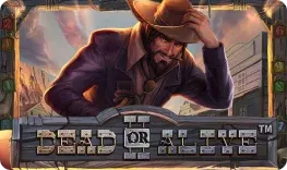 Dead or Alive 2 slot at Slots Charm Casino
