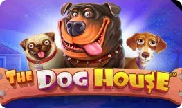 The Dog House slot at Slots Charm Casino